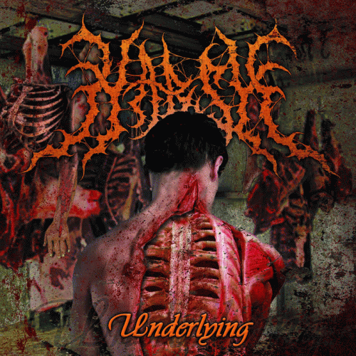 Harsh (ESP) : Underlying